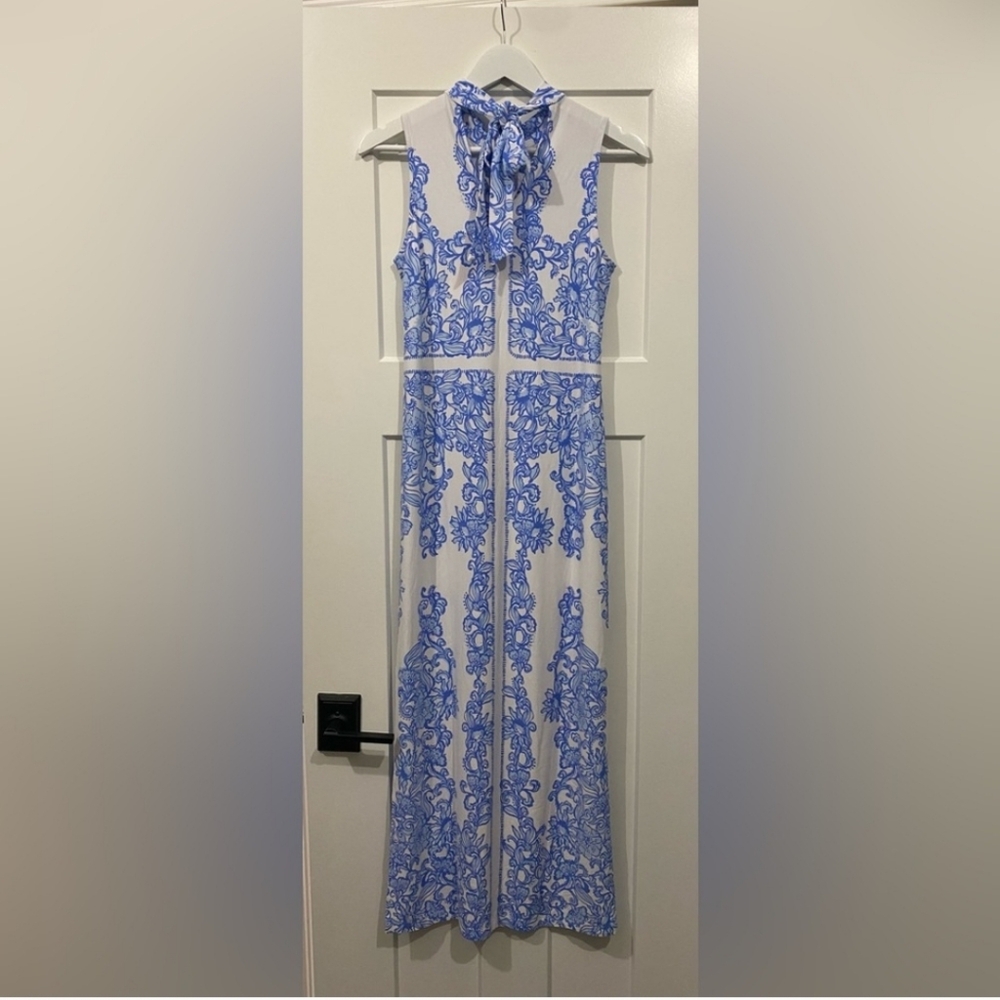 Elegant Blue and White Sleeveless Maxi Dress - Picture 4 of 4